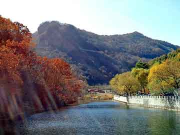 澳门天天开奖免费资料，王妃太狂野